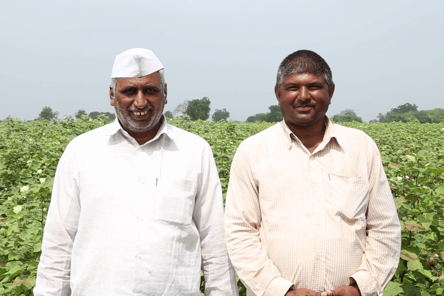 vlcsnap-2018-01-01-20h48m11s83